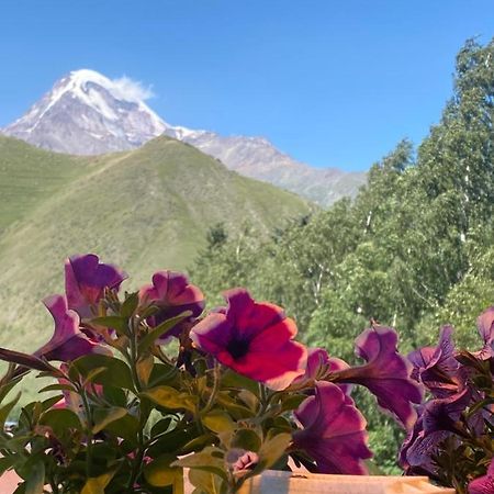 Hotel Elegant Kazbegi Luaran gambar