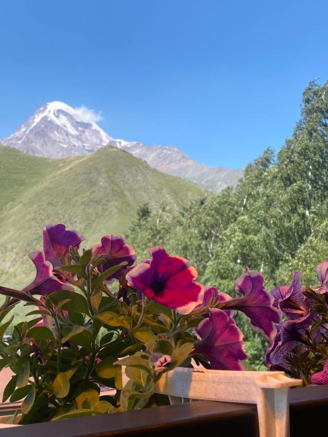 Hotel Elegant Kazbegi Luaran gambar